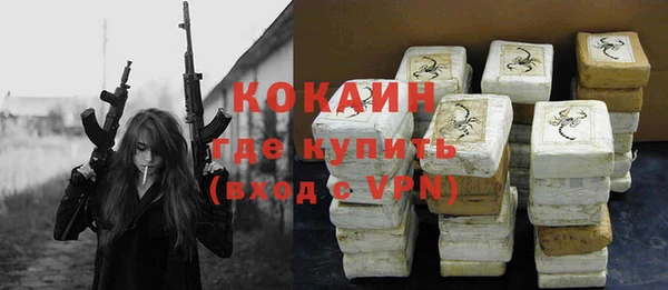 хмурый Карпинск