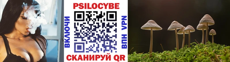 Галлюциногенные грибы Magic Shrooms где продают блэк спрут онион Кириллов